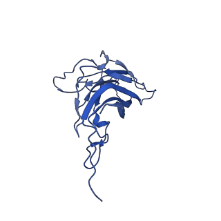 8939_6dzu_AJ_v1-2
Mechanism of cellular recognition by PCV2