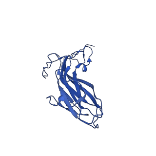 8939_6dzu_AM_v1-2
Mechanism of cellular recognition by PCV2