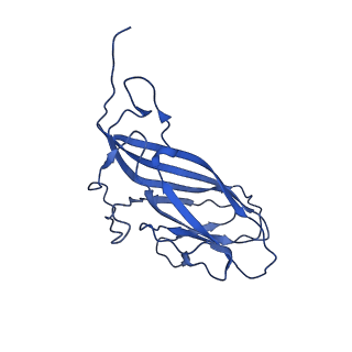 8939_6dzu_AN_v1-2
Mechanism of cellular recognition by PCV2