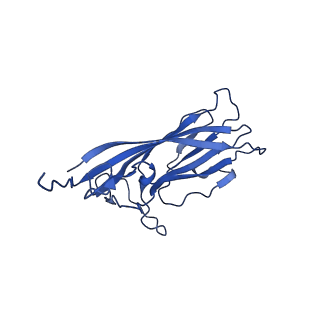 8939_6dzu_AO_v1-2
Mechanism of cellular recognition by PCV2