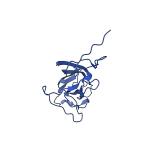 8939_6dzu_AQ_v1-2
Mechanism of cellular recognition by PCV2