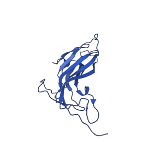 8939_6dzu_AR_v1-2
Mechanism of cellular recognition by PCV2