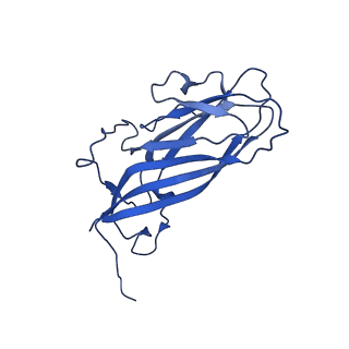 8939_6dzu_AS_v1-2
Mechanism of cellular recognition by PCV2