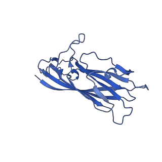 8939_6dzu_AT_v1-2
Mechanism of cellular recognition by PCV2