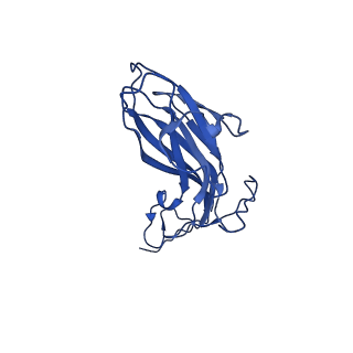 8939_6dzu_AW_v1-2
Mechanism of cellular recognition by PCV2