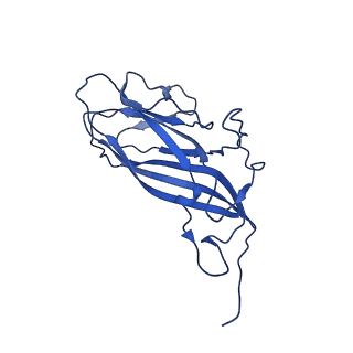 8939_6dzu_AX_v1-2
Mechanism of cellular recognition by PCV2