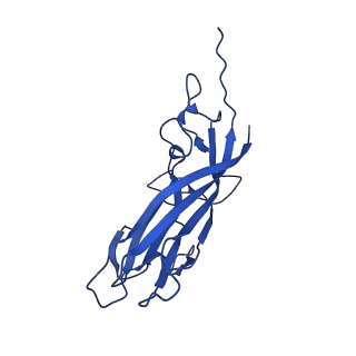 8939_6dzu_AZ_v1-2
Mechanism of cellular recognition by PCV2