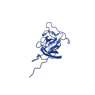 8939_6dzu_Aa_v1-2
Mechanism of cellular recognition by PCV2