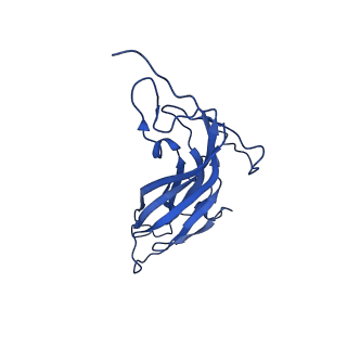 8939_6dzu_Ab_v1-2
Mechanism of cellular recognition by PCV2