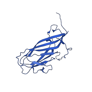 8939_6dzu_Ac_v1-2
Mechanism of cellular recognition by PCV2