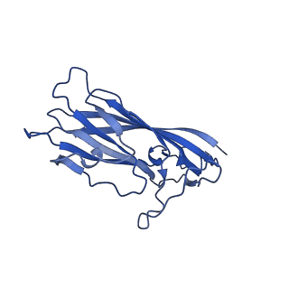 8939_6dzu_Ad_v1-2
Mechanism of cellular recognition by PCV2