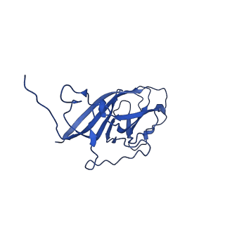 8939_6dzu_Ag_v1-2
Mechanism of cellular recognition by PCV2