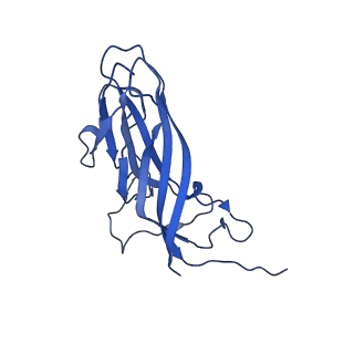 8939_6dzu_Ai_v1-2
Mechanism of cellular recognition by PCV2