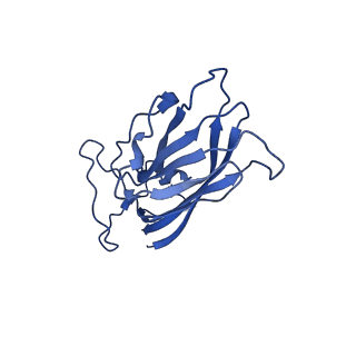 8939_6dzu_Aj_v1-2
Mechanism of cellular recognition by PCV2