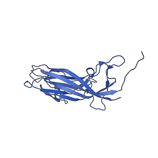 8939_6dzu_Ak_v1-2
Mechanism of cellular recognition by PCV2