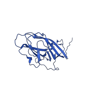 8939_6dzu_Al_v1-2
Mechanism of cellular recognition by PCV2