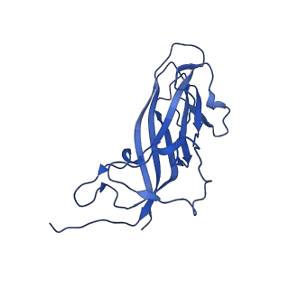 8939_6dzu_An_v1-2
Mechanism of cellular recognition by PCV2