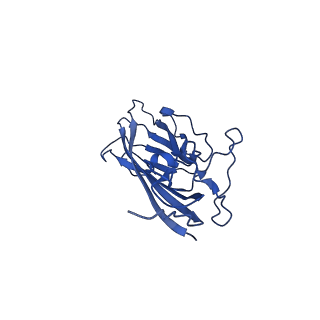 8939_6dzu_Ao_v1-2
Mechanism of cellular recognition by PCV2