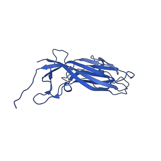 8939_6dzu_Ap_v1-2
Mechanism of cellular recognition by PCV2