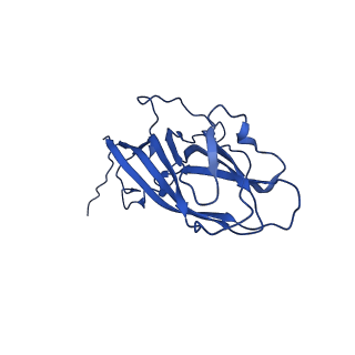 8939_6dzu_Aq_v1-2
Mechanism of cellular recognition by PCV2