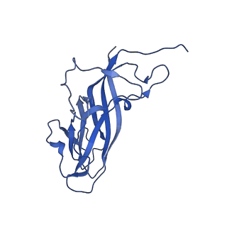 8939_6dzu_As_v1-1
Mechanism of cellular recognition by PCV2