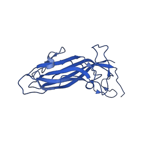 8939_6dzu_Au_v1-2
Mechanism of cellular recognition by PCV2