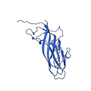 8939_6dzu_Ax_v1-1
Mechanism of cellular recognition by PCV2