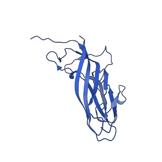 8939_6dzu_Ax_v1-2
Mechanism of cellular recognition by PCV2