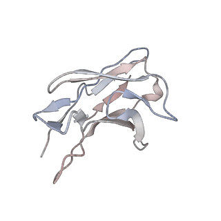 8940_6dzv_C_v1-2
Wild type human serotonin transporter in complex with 15B8 Fab bound to ibogaine in occluded conformation