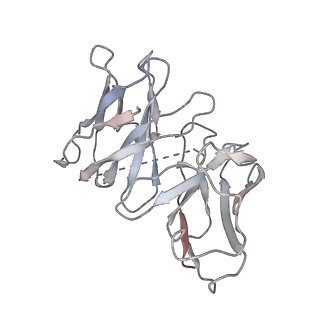 8941_6dzw_V_v1-2
Cryo-EM structure of the ts2-inactive human serotonin transporter in complex with paroxetine and 15B8 Fab and 8B6 ScFv