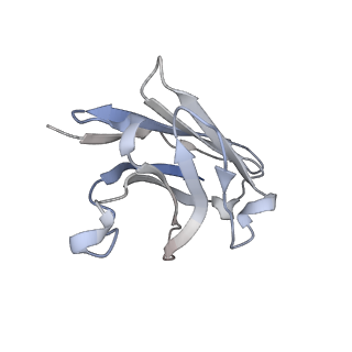 8942_6dzy_H_v2-0
Cryo-EM structure of the ts2-active human serotonin transporter in complex with 15B8 Fab and 8B6 ScFv bound to ibogaine