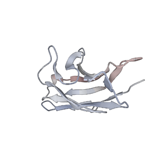 8942_6dzy_L_v1-2
Cryo-EM structure of the ts2-active human serotonin transporter in complex with 15B8 Fab and 8B6 ScFv bound to ibogaine