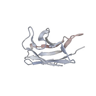 8942_6dzy_L_v2-0
Cryo-EM structure of the ts2-active human serotonin transporter in complex with 15B8 Fab and 8B6 ScFv bound to ibogaine