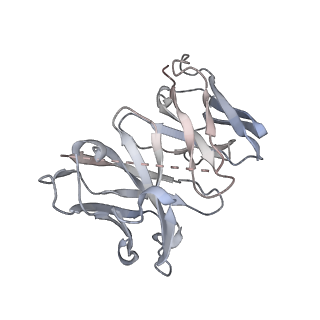 8942_6dzy_V_v1-2
Cryo-EM structure of the ts2-active human serotonin transporter in complex with 15B8 Fab and 8B6 ScFv bound to ibogaine