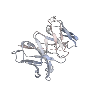 8942_6dzy_V_v2-0
Cryo-EM structure of the ts2-active human serotonin transporter in complex with 15B8 Fab and 8B6 ScFv bound to ibogaine