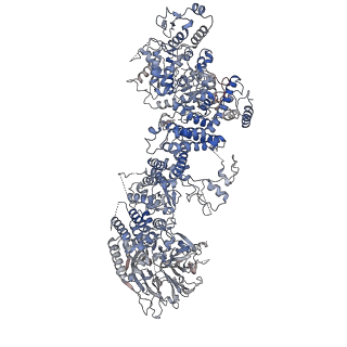 27822_8e0q_A_v1-2
Structure of the human UBR5 HECT-type E3 ubiquitin ligase in a C2 symmetric dimeric form