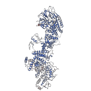 27822_8e0q_B_v1-2
Structure of the human UBR5 HECT-type E3 ubiquitin ligase in a C2 symmetric dimeric form
