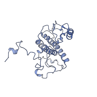 30933_7e0i_V_v1-0
LHCII-2 in the state transition supercomplex PSI-LHCI-LHCII from the LhcbM1 lacking mutant of Chlamydomonas reinhardti