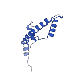 8945_6e0c_A_v1-4
Cryo-EM structure of the CENP-A nucleosome (W601) in complex with a single chain antibody fragment