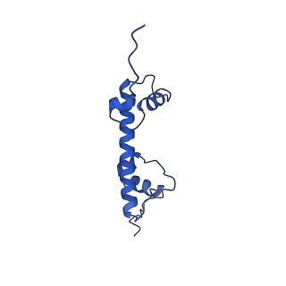 8945_6e0c_G_v1-4
Cryo-EM structure of the CENP-A nucleosome (W601) in complex with a single chain antibody fragment