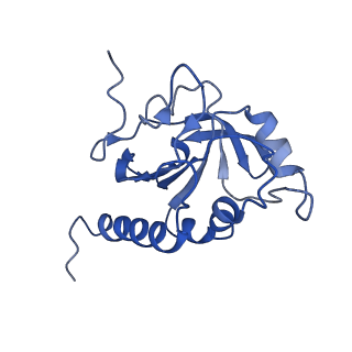 8946_6e0f_B_v1-2
Mitochondrial peroxiredoxin from Leishmania infantum in complex with unfolding client protein after heat stress