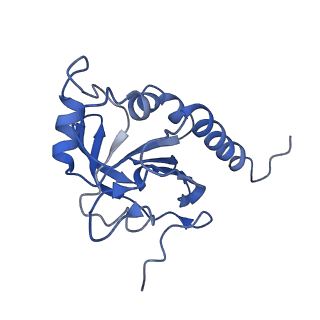 8946_6e0f_D_v1-2
Mitochondrial peroxiredoxin from Leishmania infantum in complex with unfolding client protein after heat stress