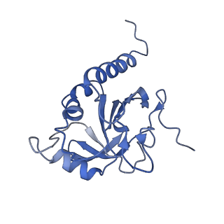 8946_6e0f_E_v1-2
Mitochondrial peroxiredoxin from Leishmania infantum in complex with unfolding client protein after heat stress