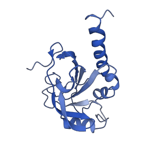 8946_6e0f_G_v1-2
Mitochondrial peroxiredoxin from Leishmania infantum in complex with unfolding client protein after heat stress