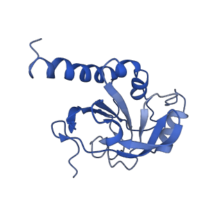 8946_6e0f_H_v1-2
Mitochondrial peroxiredoxin from Leishmania infantum in complex with unfolding client protein after heat stress