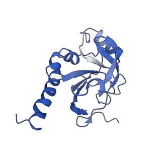 8946_6e0f_I_v1-2
Mitochondrial peroxiredoxin from Leishmania infantum in complex with unfolding client protein after heat stress