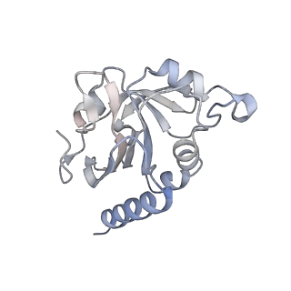 8947_6e0g_B_v1-2
Mitochondrial peroxiredoxin from Leishmania infantum after heat stress without unfolding client protein