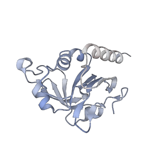 8947_6e0g_D_v1-2
Mitochondrial peroxiredoxin from Leishmania infantum after heat stress without unfolding client protein