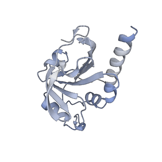 8947_6e0g_F_v1-2
Mitochondrial peroxiredoxin from Leishmania infantum after heat stress without unfolding client protein