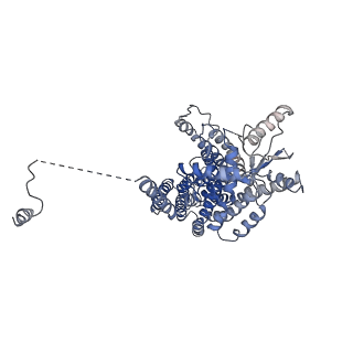 8948_6e0h_A_v1-1
PDB: afTMEM16 reconstituted in nanodiscs in the presence of Ca2+